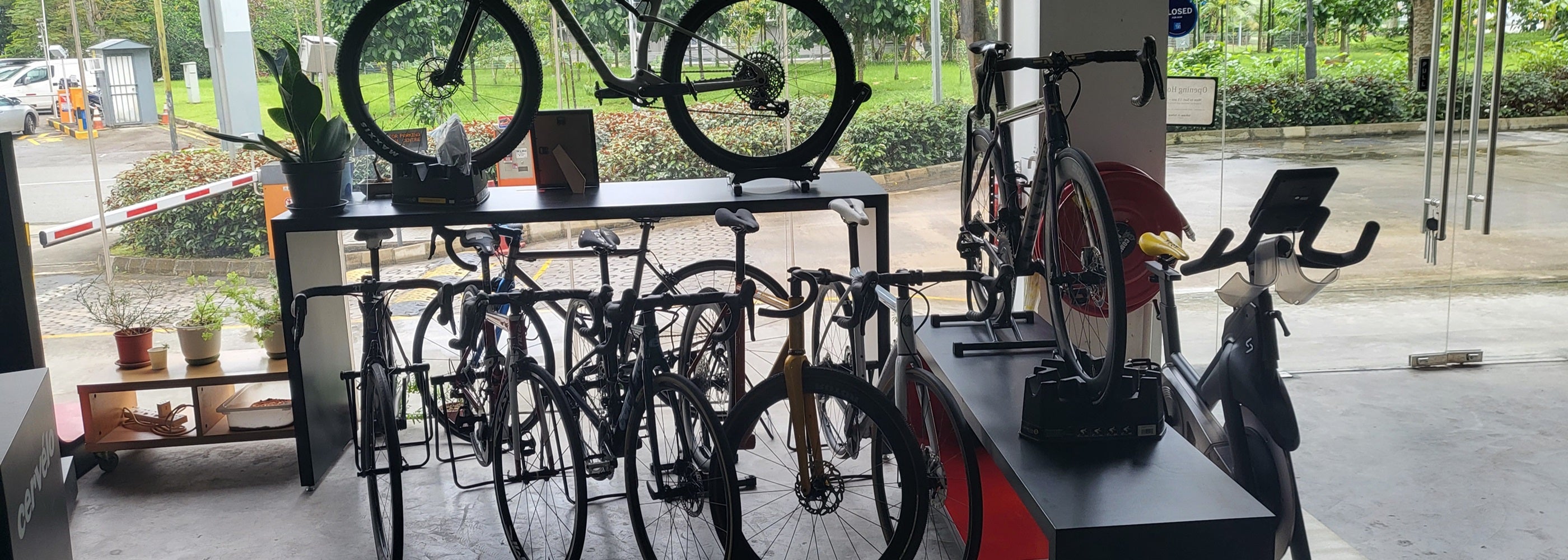 Professional bike assembly near me sale