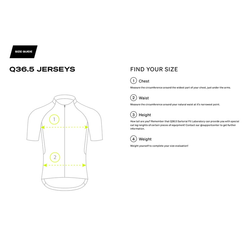 Q36.5 Jersey Shortsleeve R2 Y Silver